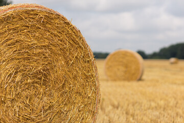 Strohballen liegen auf dem Stoppelfeld