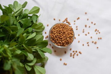 Methi or fenugreek seeds in a bowl and in the background are methi leaves.