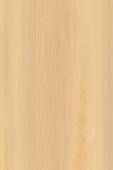 Light beech wood end seamless texture, wood texture background.