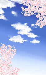 満開の桜・青空　縦長イラスト