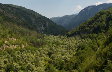 Fototapeta na wymiar Rhodopes, are a mountain range in Southeastern Europe. Bulgaria. Panorama. The forest area covers the mountains.