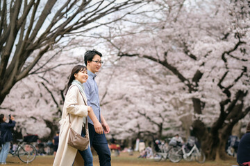 満開の桜の下を歩くカップル