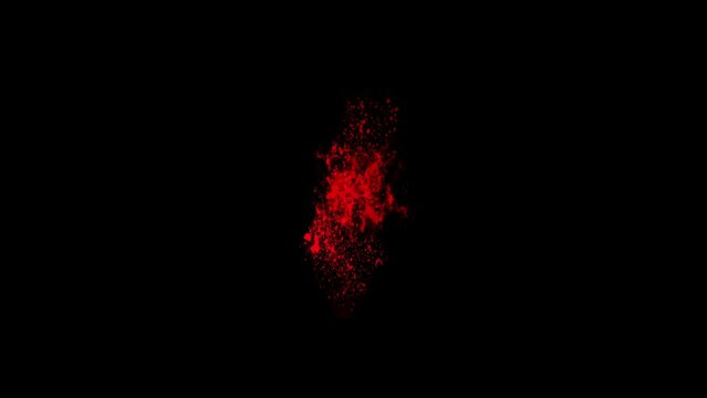 Blood splash on isolated black background.Vide element of Blood splash animation.