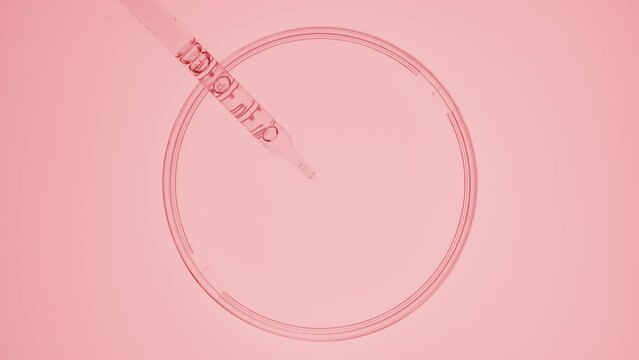 Abstract face care serum formulation concept | Top view extreme close-up shot of lab dropper takes pink fluid from watch glass round and drips it back on pale pink background