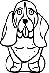 Fototapeta na wymiar Doodle Basset Hound dog