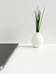 frond view of closed MacBook Air and white small vase with green plant on a white wooden table
