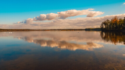 natural landscape view, lake with swans