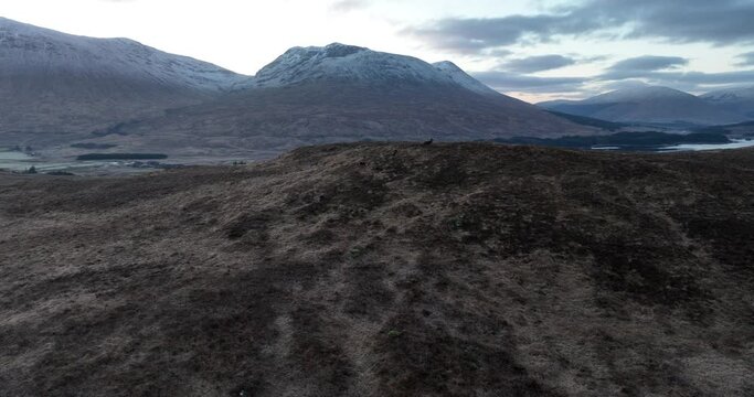 Deer at Loch Tulla
