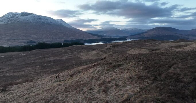 Deer at Loch Tulla