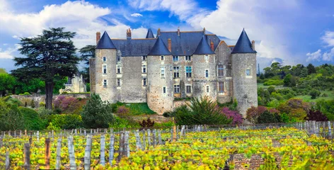 Foto auf Glas medieval French castles of Loire valley. Chateau de Luynes surrounded by scenic vineyards - heritage of France © Freesurf
