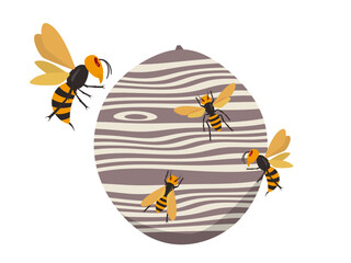 スズメバチと巣