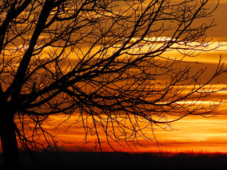 sunset in rural field in Vojvodina