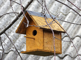 wooden bird house hanging on the tree branch    