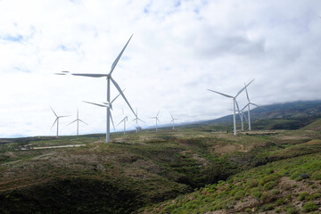 Wind turbines and solar panels field under construction, with blue sky and white clouds.
Horizontal photo.
