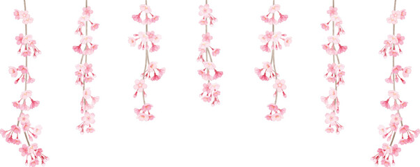 しだれ桜のフレームイラスト　手描き水彩風