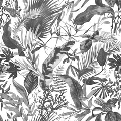 Tropical seamless pattern with exotic leaves.  Floral wallpaper painted in watercolor in black and white colors