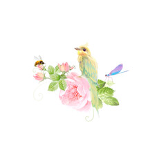 Watercolor floral clip art yellow bird on pink roses, bee, dragonfly hand drawn illustrations on white background isolated