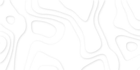 Abstract modern White wavy background.3d white paper cut background. gradient white color papercut with wavy layers,3d Vector topographic illustration.