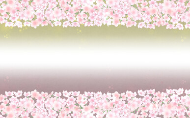 Obraz na płótnie Canvas 満開の桜 横長画像素材 -うぐいす・ゆかり-