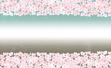 Obraz na płótnie Canvas 満開の桜 横長画像素材 -あさぎ・ねず-