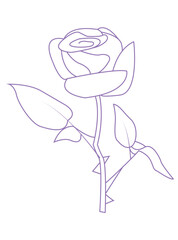hand drawn flower rose