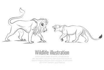 Vector lion and lioness