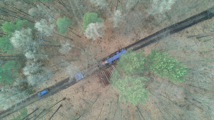 Loader loads logs of wood into the truck in the forest. Deforestation and wood industry. Top down aerial drone view.