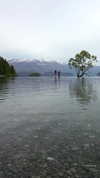 Morning view of couple doing Standup paddle-boarding on the lake (SUP).