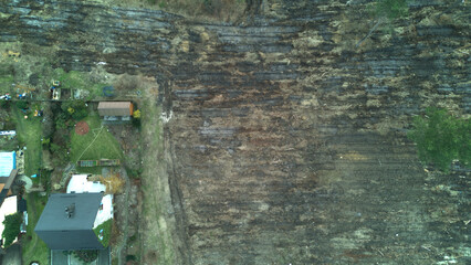 Aerial view above damaged nature at a deforestation area in Poland - drone top down shot.