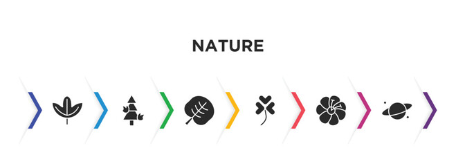 nature filled icons with infographic template. glyph icons such as sassafras leaf, pine tree on fire, reniform, trifoliate ternate, hibiscus, planet with satellite vector.