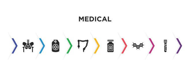 medical filled icons with infographic template. glyph icons such as p, tag with a cross, colon, pills jar, three hexagons cell, blood analysis vector.