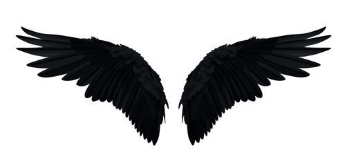 Pair of black realistic wings on white background vector illustration