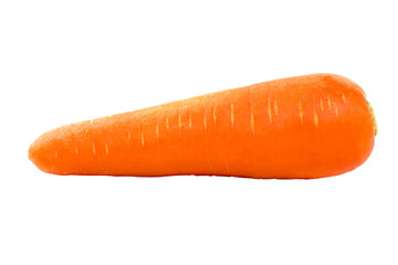 Fresh organic carrot