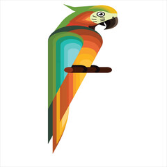 parrot on a branch.macaw parrot on a branch.macaw parrot.