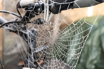 Frozen spider web hanging on the bike by the wooden fence in garden.