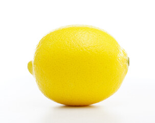 レモン　白背景