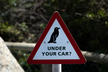 Road sign for penguin, Boulders beach, South Africa