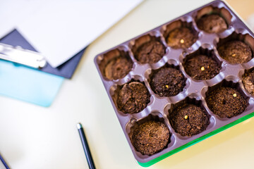 child putting a seed to plant in a seed growing tray at home