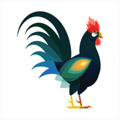 rooster.illustration of rooster.