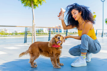 Cheerful dark long curly haired woman with american cocker dog playing in summer park