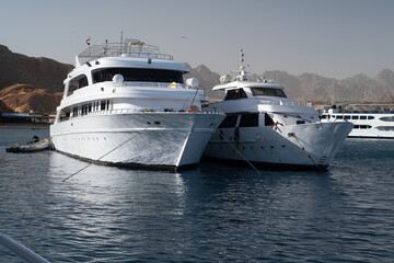 Fototapeta na wymiar Beautiful white private motor yacht for a boat trip on the Red Sea, Egypt