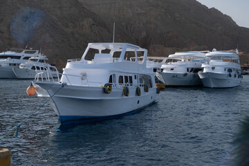 Fototapeta premium Beautiful white private motor yacht for a boat trip on the Red Sea, Egypt