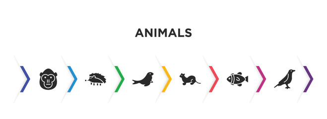 animals filled icons with infographic template. glyph icons such as orangutan, hegdehog, sea lion, polecat, clownfish, raven vector.