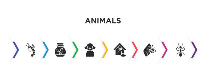 animals filled icons with infographic template. glyph icons such as grub, terrarium, poodle, doghouse, bug on leaf, ant vector.