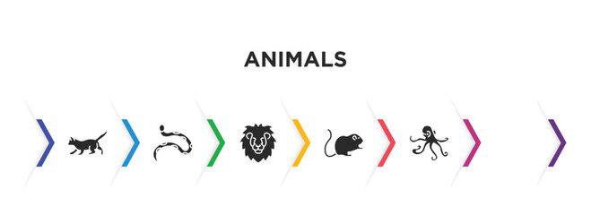 animals filled icons with infographic template. glyph icons such as salamander, kitten, copperhead, lion head, hamster, aquarium octopus vector.
