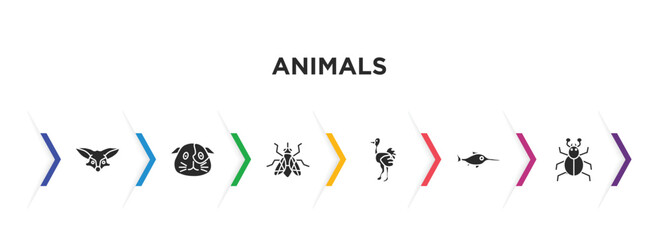 animals filled icons with infographic template. glyph icons such as fennec fox, guinea pig heag, fly, ostrich, swordfish, mite vector.