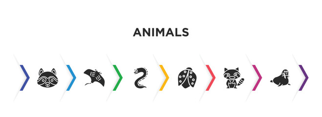 animals filled icons with infographic template. glyph icons such as racoon, ray, moray, ladybug, raccoon, walrus vector.