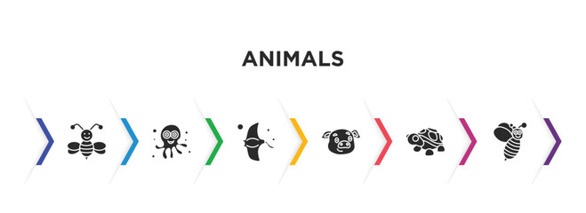 animals filled icons with infographic template. glyph icons such as bee, octopus, manta ray, pig, turtle, wasp vector.