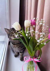 Domestic cat sniffs tulips in a vase on the windowsill.