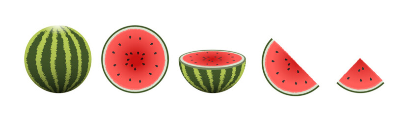 Vector watermelones in different sizes